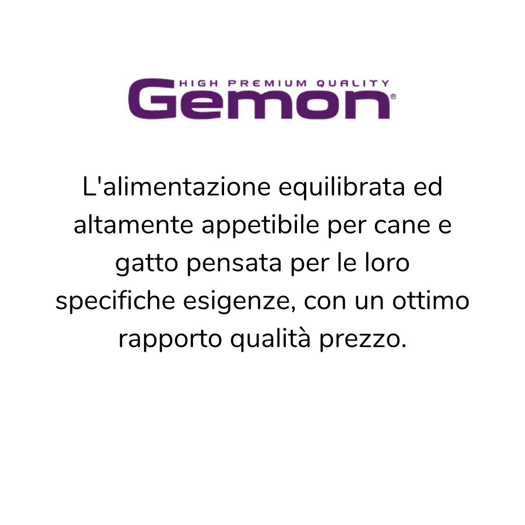 06.Gemon