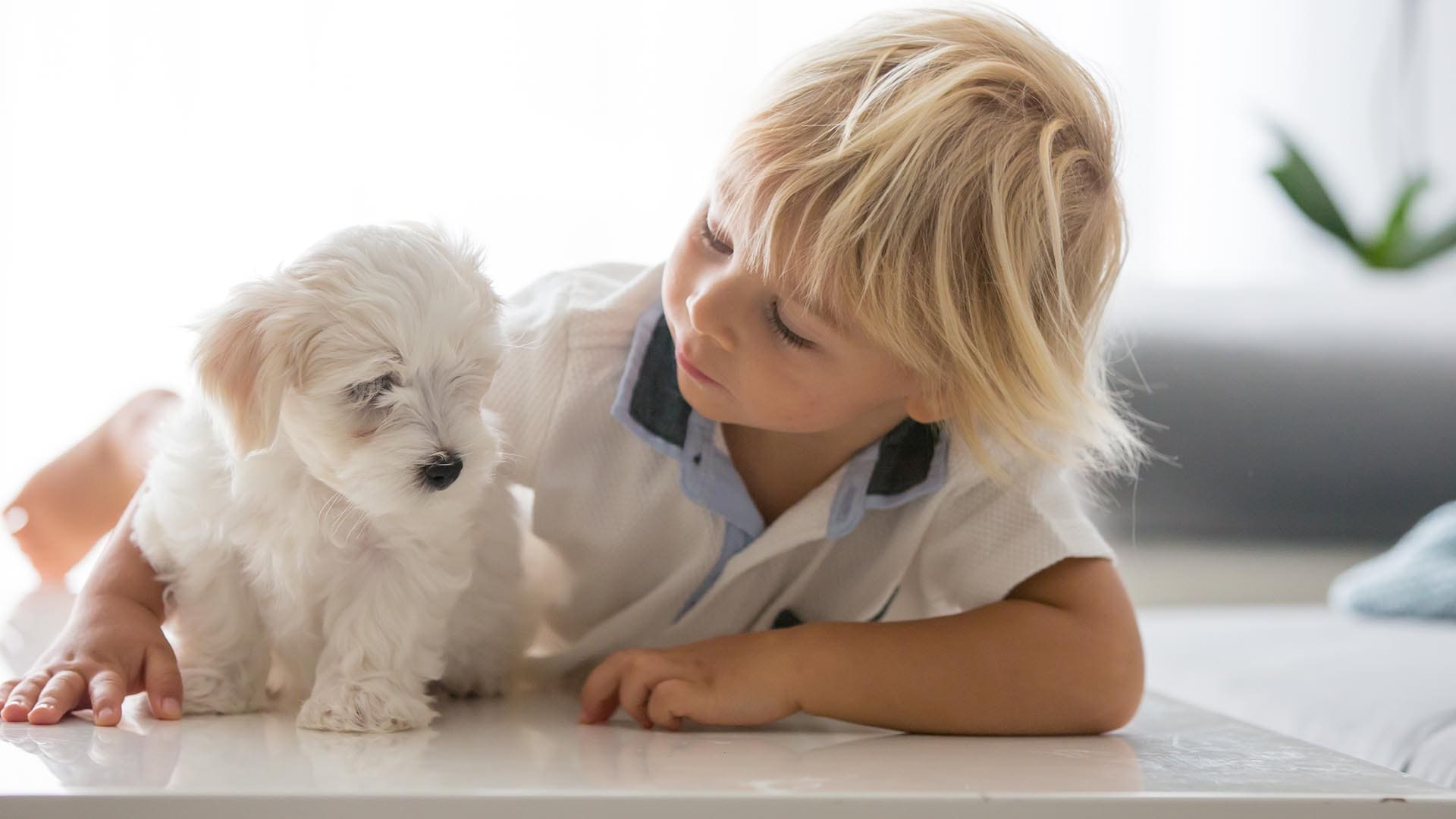 bambino a terra con il suo cucciolo