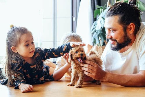 Cucciolo con la sua famiglia