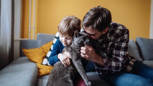 Vivere con un gatto…istruzioni per l'uso! 