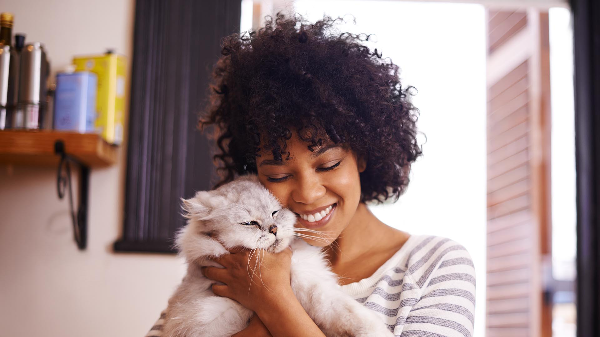 gatto animale sociale