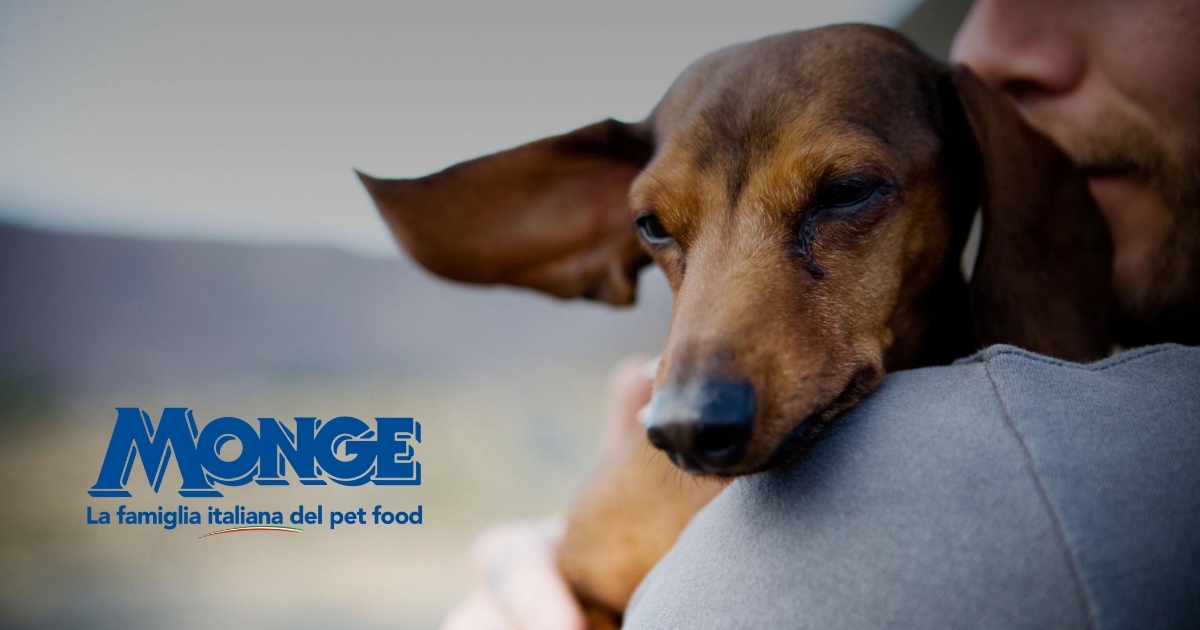 www.monge.it