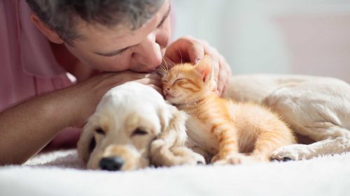 variare periodicamente l’alimentazione dei nostri cani e gatti