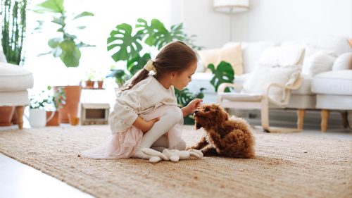 Cani per i bambini