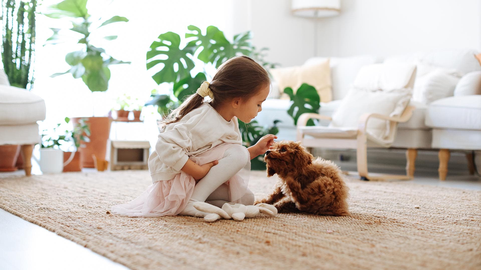 Cani per i bambini