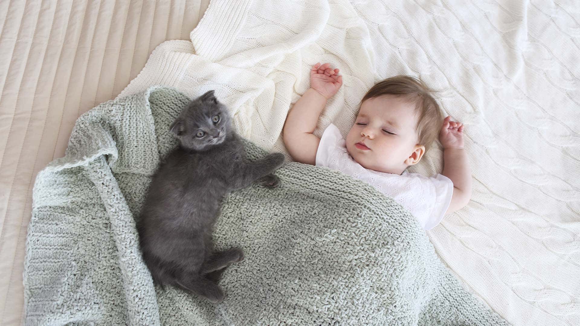 Gatti e bambini, consigli per una convivenza serena