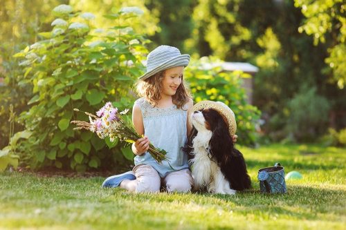 Cani per i bambini