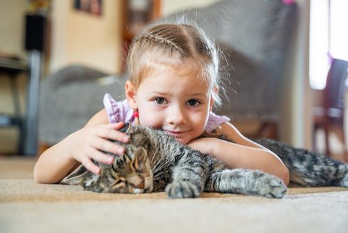 Gatti e bambini, consigli per una convivenza serena