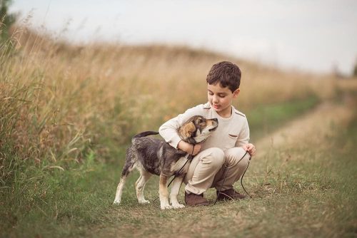 Cani per i bambini