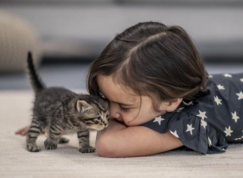 Gatti e bambini, consigli per una convivenza serena