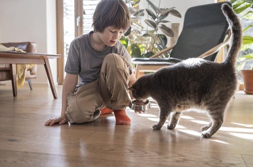 Gatti e bambini, consigli per una convivenza serena