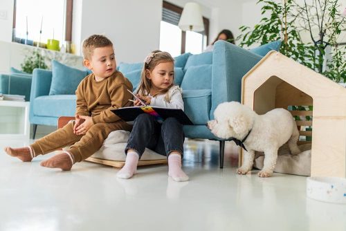 Cani per i bambini
