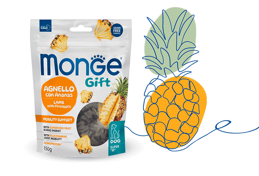 Monge Gift Mobility Support Dog Agnello con Ananas Super M