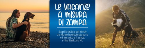 Le vacanze a misura di zampa