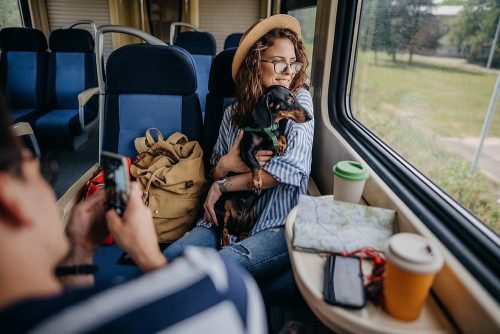 Un cane e la sua padrone che guardato dal finestrino del treno
