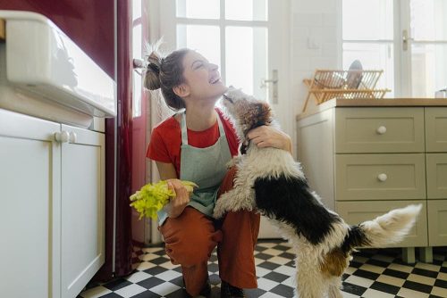Cane che lecca la sua padrone presa a fare pulizie di casa