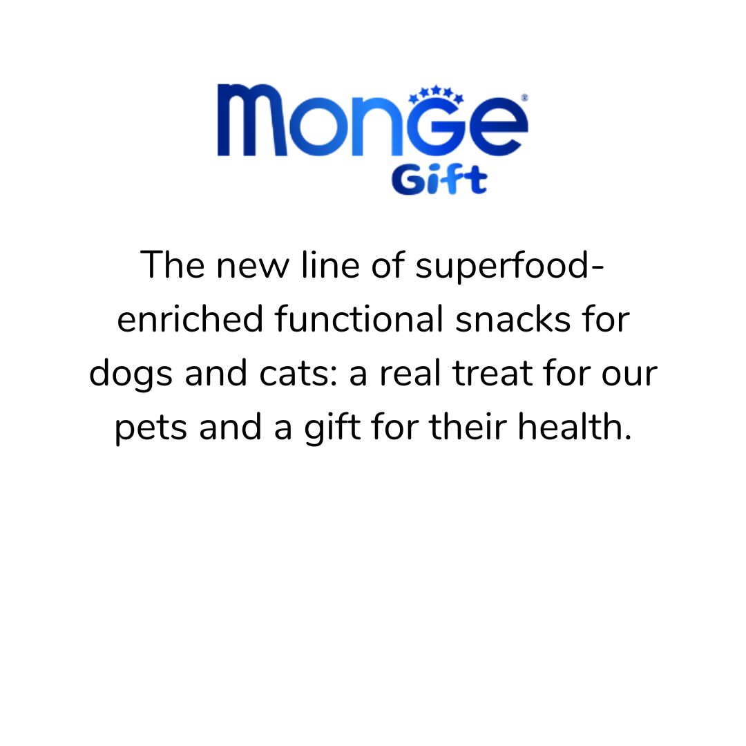04.Monge Gift
