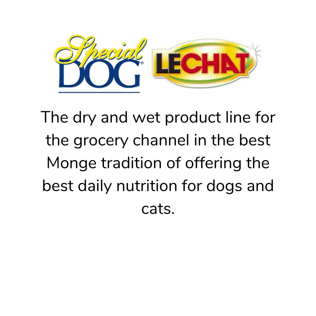 07.SpecialDOG-LeChat