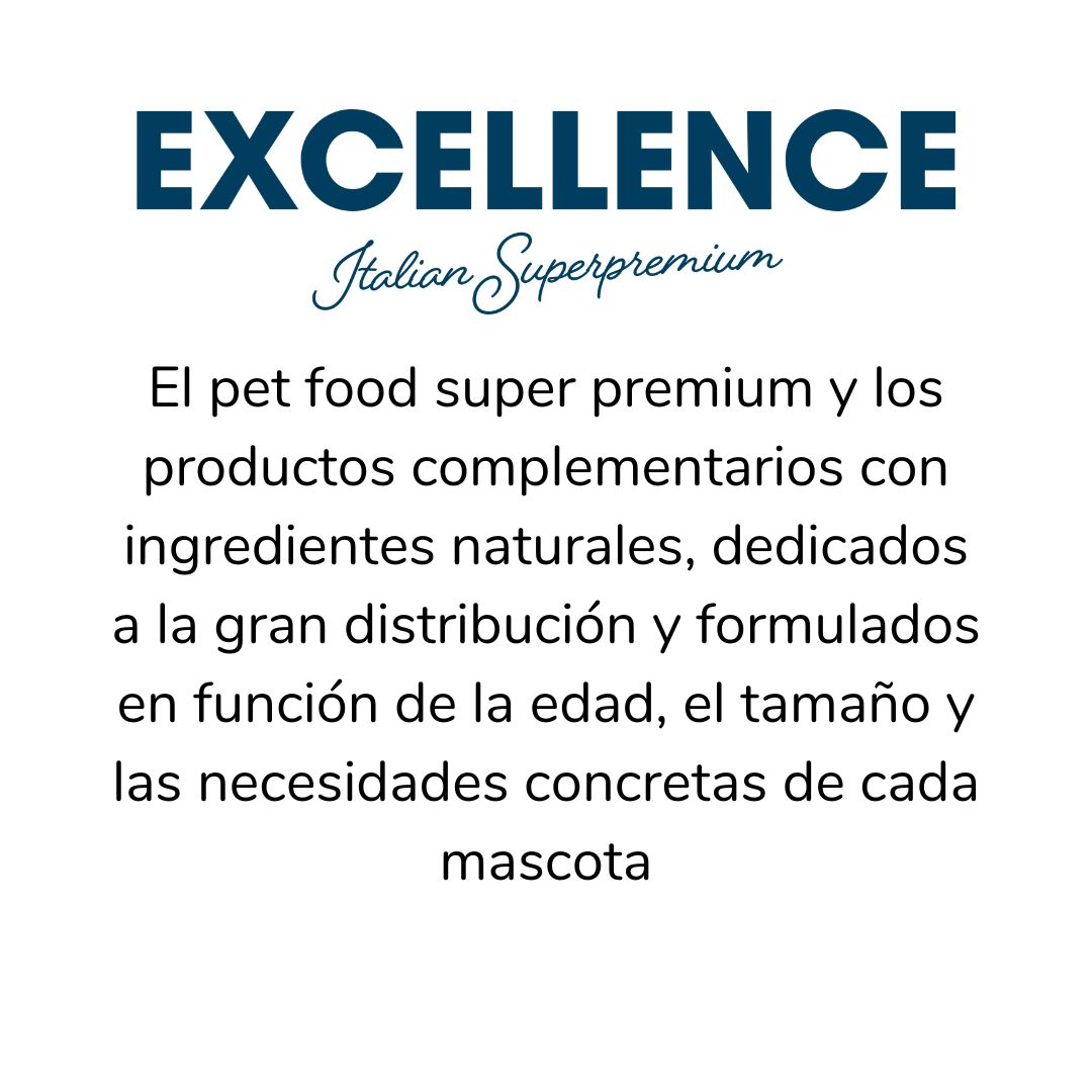 05.Excellence_v2 ES